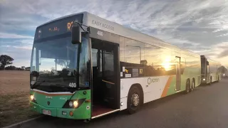 Transport Canberra BUS 480 - Scania K320UB (Loud ZF Kickdown)