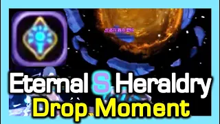 Eternal S Heraldry Dropped Moment / Dragon Nest China