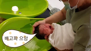 초보엄마아빠 신생아 목욕시키기 요약 !! (꿀팁)