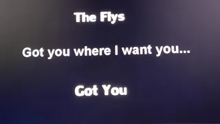 Got you by the Flys(lyrics)
