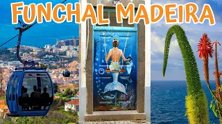 Funchal Sunrise: Magic in Madeira's Enchanting Capital