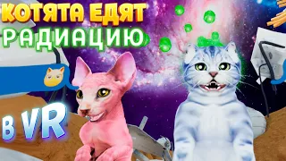 КОТЯТА ЕДЯТ РАДИАЦИЮ В ВР ( Kitten'd VR )