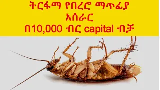 ቀላል ትርፋማ የበረሮ ማጥፊያ አሰራር | best home made anti cockroach | gebeya | bar soap| liquid soap | abel birh