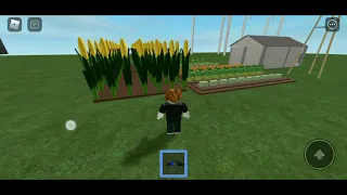the wizard of oz Roblox