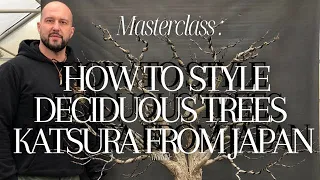 Masterclass : How to style deciduous trees Katsura from Japan