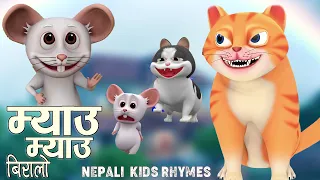 Meow Meow Biralo | Mau Mau Biralo | Myau Myau |म्याउ म्याउ | Nepali Rhymes | बाल गीत |Popular Rhymes