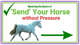 At Liberty with Clicker Training | Step 1: Send your horse away without pressure