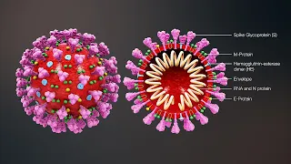 Webinar - COVID-19: the mechanism, rate and tools for monitoring the infection