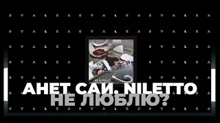 Анет Сай, NILETTO - Не люблю?