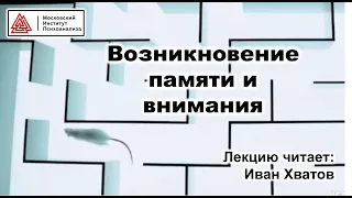 06. Эволюция памяти и внимания