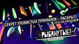 Секрет уловистых приманок — раскрыт! UV & LED свечение!