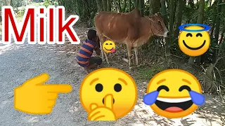 Must Watch New Funny😂 😂Comedy Videos 2019 - Episode 17 - Funny Videos || AHB Funny Video