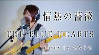 情熱の薔薇 / THE BLUE HEARTS cover by たのうた