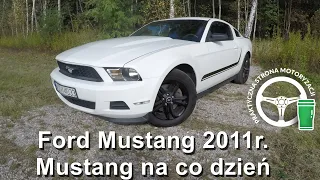Ford Mustang V Generacji - Mustang na co dzień