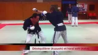 Travail Bunkai autour de Happoken Shodan