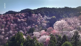 JAPAN - "In the land of the roots of the sun" - The five elements