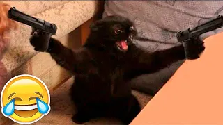 Try Not to Laugh Cats and Dogs 😺🐶 Funny Animal Videos || part 35