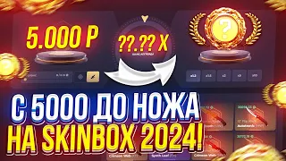 С 5000 до НОЖА на SKINBOX 2024! ЗАНЯЛ 1 МЕСТО в НОВОМ ИВЕНТЕ на СКИНБОКС!?