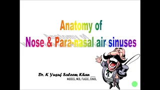 Anatomy of the NOSE & PARA-NASAL AIR SINUSES || Dr. Yusuf ||