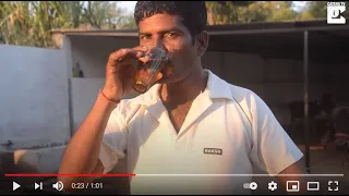 Man in India Drink Cow's Urine To Fight Disease