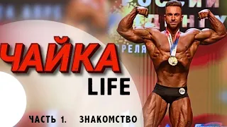 Чайка life ч.1 знакомство