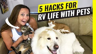 RV LIFE with Pets! 5 Hacks for Traveling with DOGS & CATS