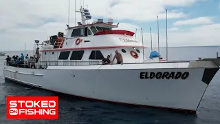 Sardine Showdown: Chasing Bluefin on the El Dorado