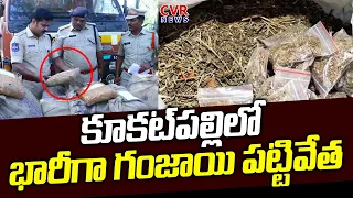 కూకట్‌పల్లి లో భారీగా గంజాయి పట్టివేత | 500Kgs Ganja Seized  | CVR News