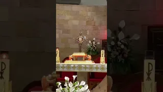 Mira que hace Colibrí en el Santísimo ! Milagro en Vivo! #shorts #short #real