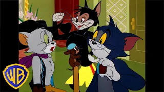 Tom und Jerry auf Deutsch 🇩🇪 | Das Beste der Katzen! 😻 | Monat der Tiere | @WBKidsDeutschland​