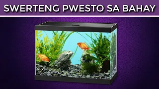 Tamang BILANG ng ISDA at PWESTO ng Aquarium sa Bahay