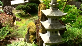 Ogród Japoński w Jarkowie - Japanese Garden, Poland