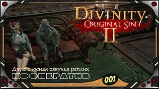 Divinity Original Sin 2 - Кооператив (№01) - Двухголосная озвучка реплик .