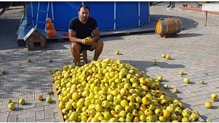 MOONSHINE from APPLE. Apple wort. Part 1. ENG SUB.