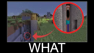 Scary Steve in Minecraft wait what meme part 209