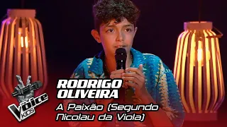 Rodrigo Oliveira - “A Paixão (Segundo Nicolau da Viola)" | Semifinal | The Voice Kids