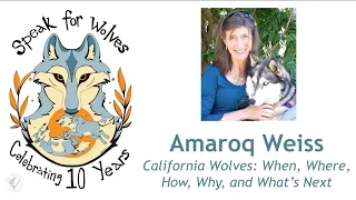 California Wolves: When, Where, How, Why, and What’s Next