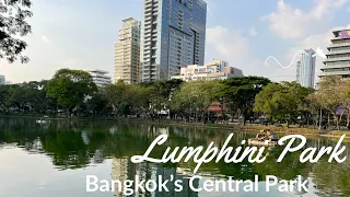 Lumphini Park - Bangkoks first public park - Central Park of the city