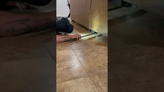 Catching a rattlesnake under someone’s couch?!!!