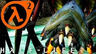 ПОВЕЛИТЕЛЬ МУРАВЬЁВ ► Half-Life 2 #8