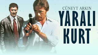 Yaralı Kurt Türk Filmi | FULL | CÜNEYT ARKIN | AHMET MEKİN