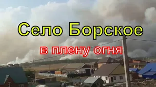 Село Борское горит  | Самарская область  | Огненная дуга | Пожар | Экстремальный Август | 2021