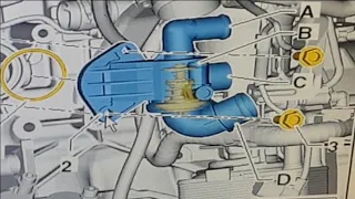 Vw Passat 2.0 TDI Common Rail 2015 Thermostat Replacement