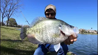 TOP 3 BIGGEST CRAPPIES EVER CAUGHT ON YOUTUBE! (compilation)