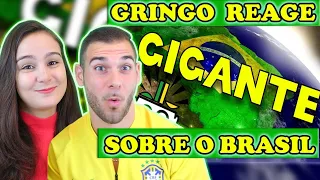 Gringo reage "10 Fatos SURPREENDENTES Sobre o Brasil"