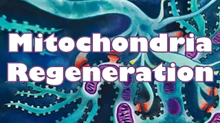 ❉ Powerful Mitochondria Rejuvenation! ~ High Energy + Best Health + Youth ~ Relaxing Ocean Sounds