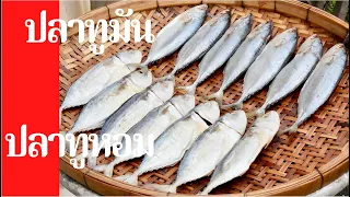 เมนูจากปลา EP81 | ปลาทูมัน-ปลาทูหอม วิธีทำปลาทูเค็ม ปลาทูมัน แบบง่ายๆสร้างอาชีพได้ | สไตล์นายแทน