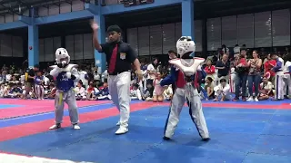 Taekwondo Kids Sparring (Jack Soledad)