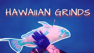 Hawaiian Grinds Spearfishing Compilation