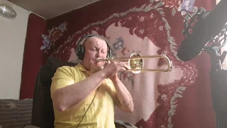 Одинокий Пастух The Lonely Shepherd  (remix) slide trumpet